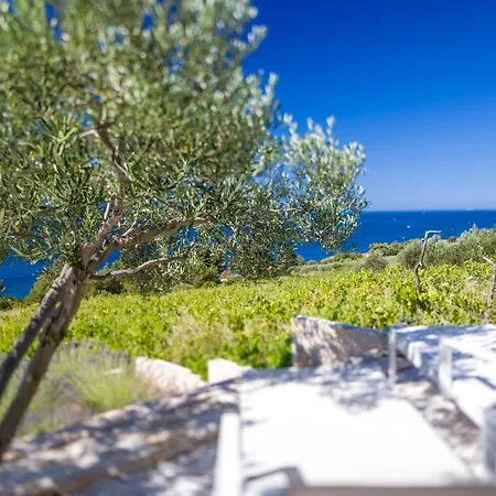 Stella Mare Eco Boutique House Hotel