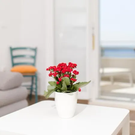 Stella Mare Eco Boutique House